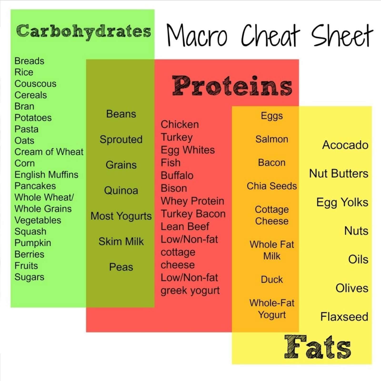 Text - MACROS: The Basics