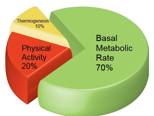 Tape - BMR - The Most Important Number for Your Goals That You Probably Don't Know
