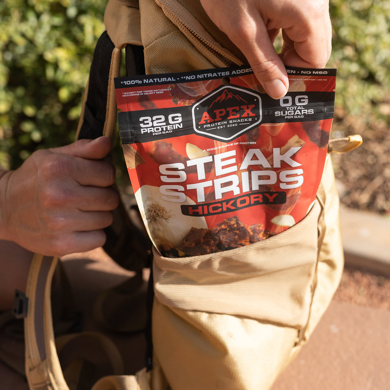 Steak Strips