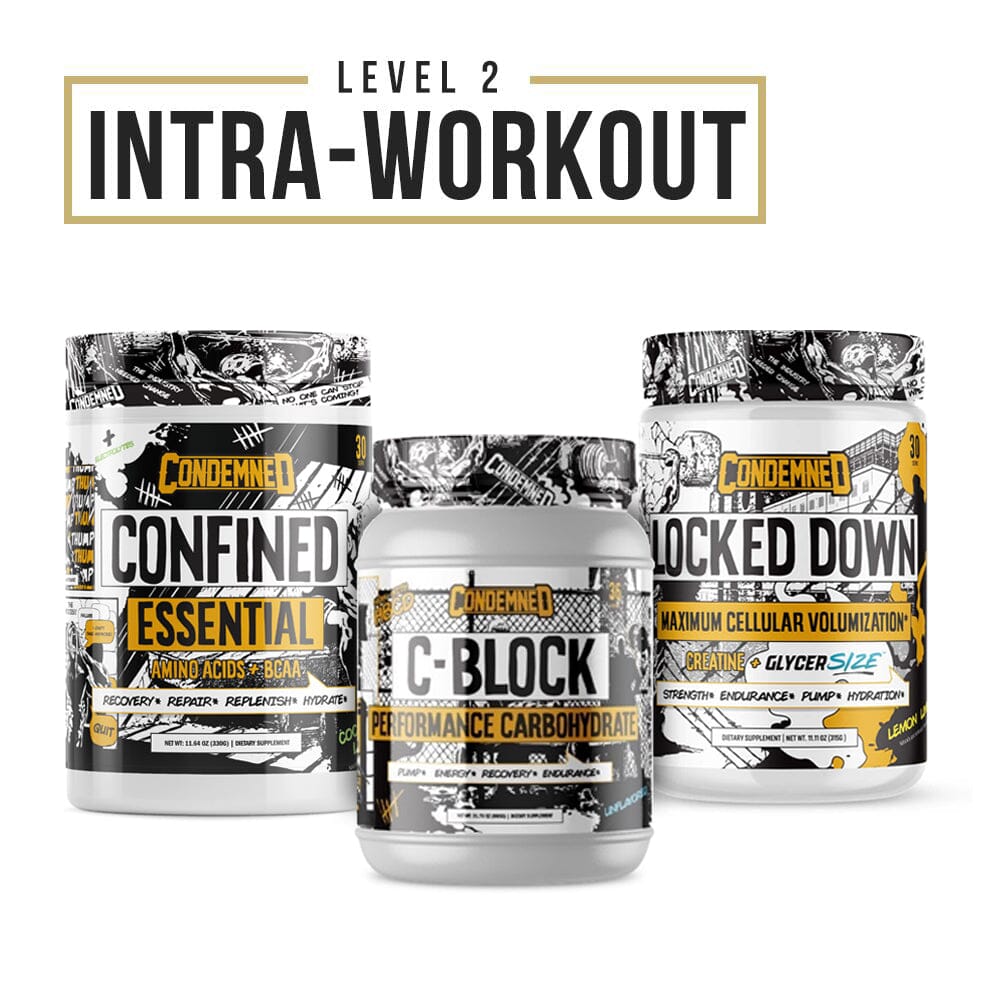 Level 2 Intra Workout