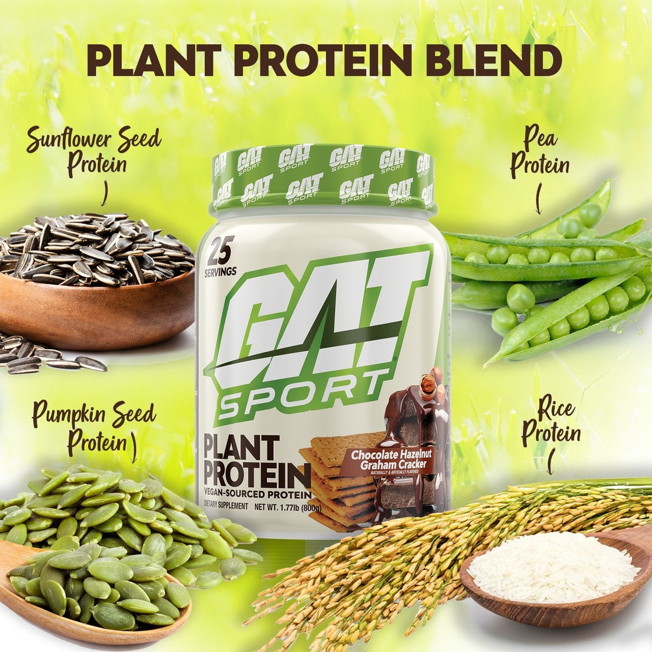 PLANT PROTEIN