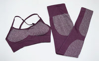Women Fitness Gym Yoga Suit