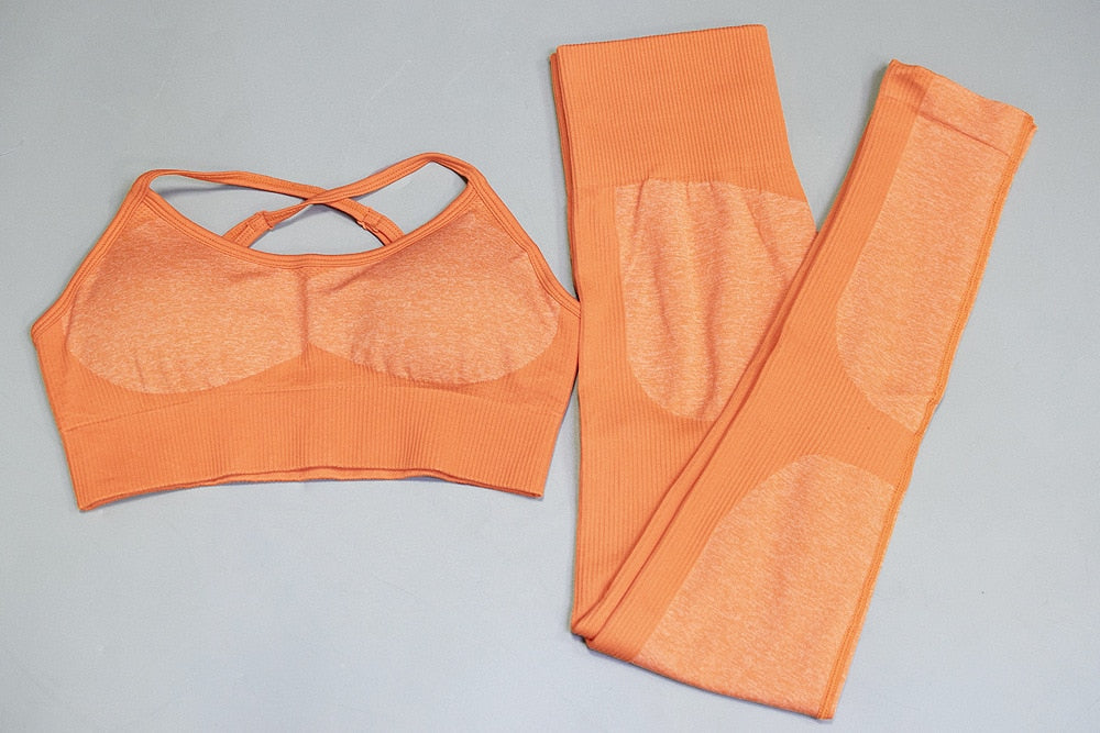 Women Fitness Gym Yoga Suit