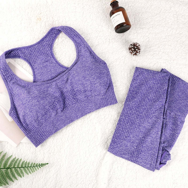 Women Fitness Gym Yoga Suit