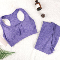 Women Fitness Gym Yoga Suit