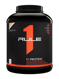 R1 PROTEIN