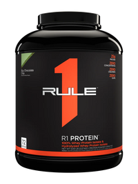 R1 PROTEIN