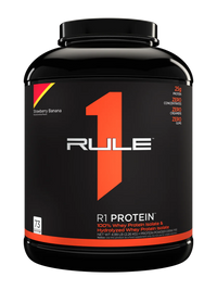 R1 PROTEIN