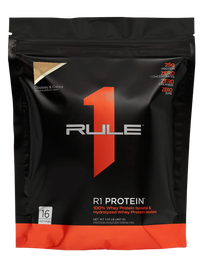 R1 PROTEIN