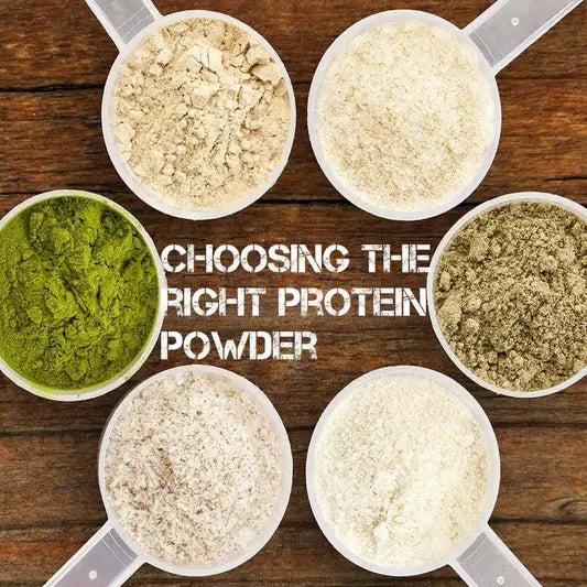 Breakfast - What Protein Powder is Best for You