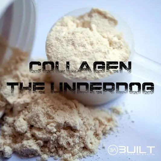 Powder - Collagen, the Underdog Powerhouse Protein
