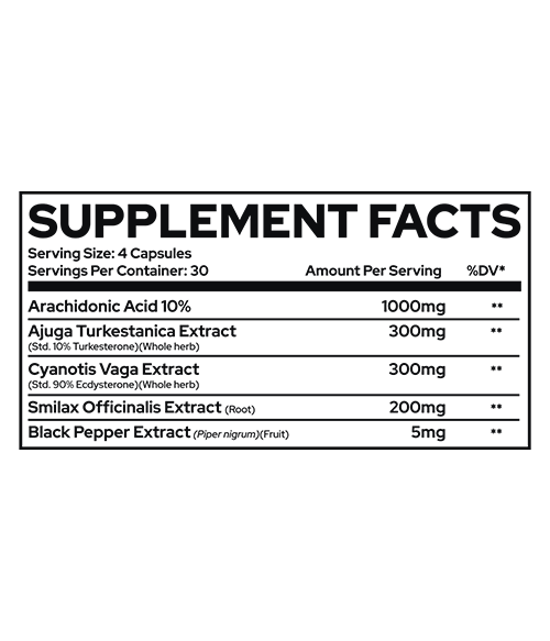 REPP Sports - RAZE MASS CAPS - 120 Capsules