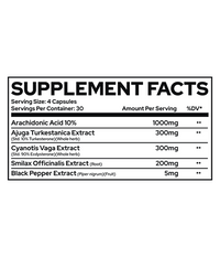 REPP Sports - RAZE MASS CAPS - 120 Capsules