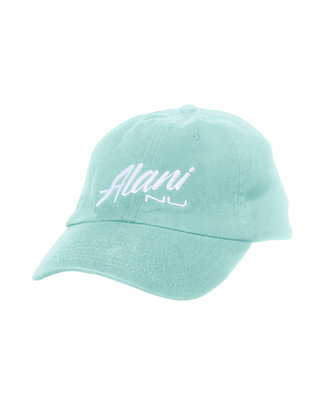 Dad Hat - Seafoam Vintage