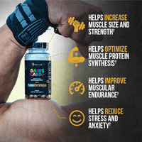 GAINS CANDY™ TURKESTERONE®  - More Muscle Strength and Size†