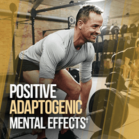 GAINS CANDY™ TURKESTERONE®  - More Muscle Strength and Size†