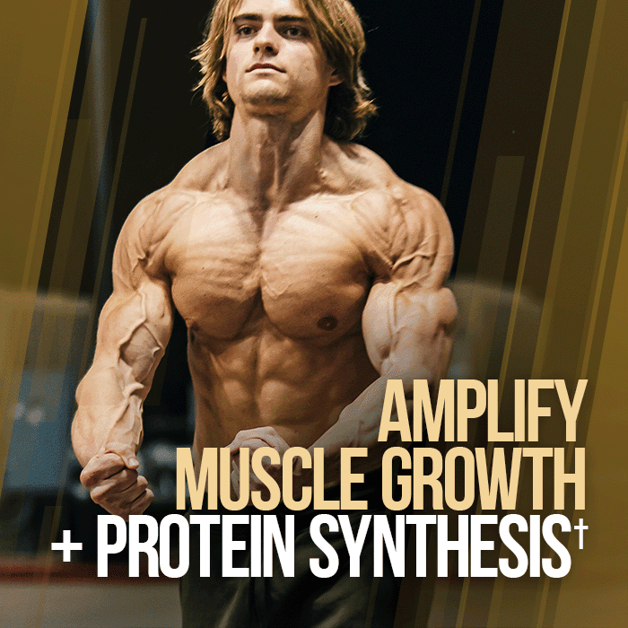GAINS CANDY™ TURKESTERONE®  - More Muscle Strength and Size†
