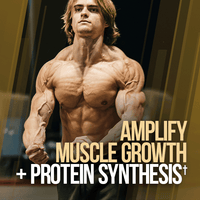 GAINS CANDY™ TURKESTERONE®  - More Muscle Strength and Size†