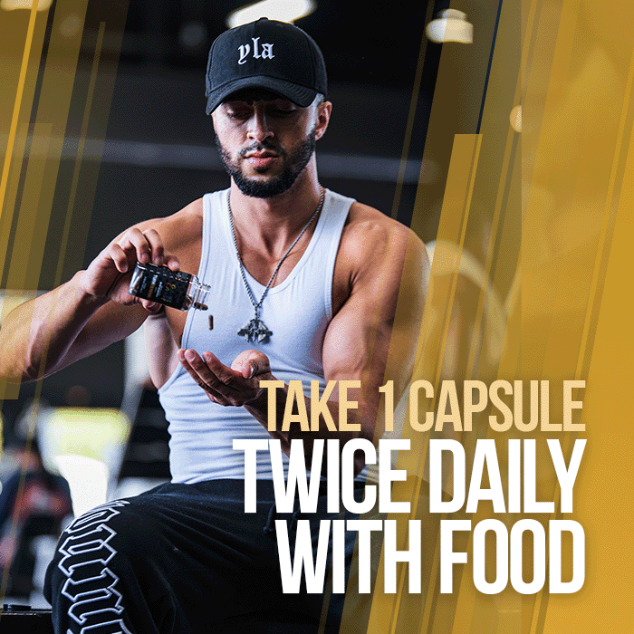 GAINS CANDY™ TURKESTERONE®  - More Muscle Strength and Size†
