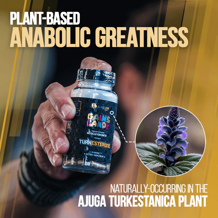 GAINS CANDY™ TURKESTERONE®  - More Muscle Strength and Size†