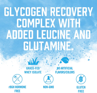Recovery Protein Plus / Vanilla - 25 Servings