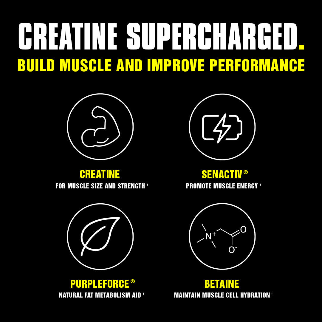 Animal Creatine XL