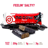 Dipped Chocolate Sea Salt Protein Bars