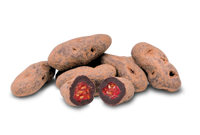 Dark Chocolate Goji Berries
