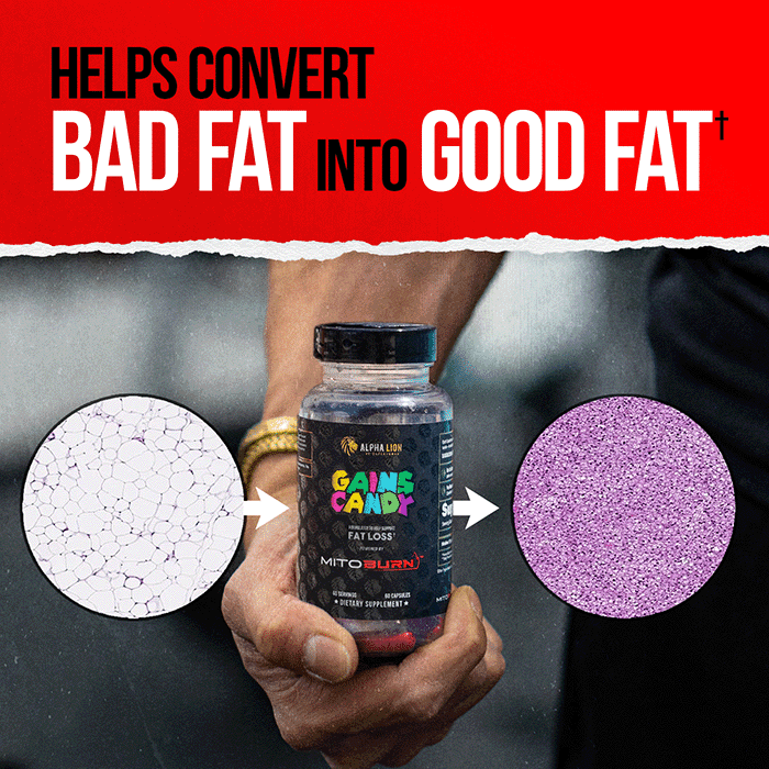 GAINS CANDY™ MITOBURN®  - Fat Loss Amplifier†