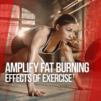 GAINS CANDY™ MITOBURN®  - Fat Loss Amplifier†