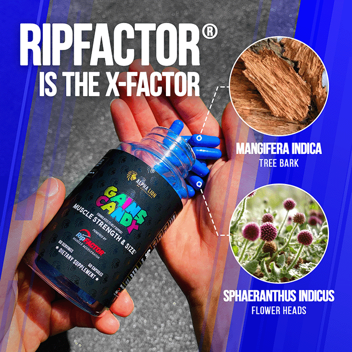 GAINS CANDY™ RIPFACTOR®  - Increase Muscle Strength & Size RP.