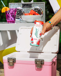 Hawaiian Shaved Ice Bundle