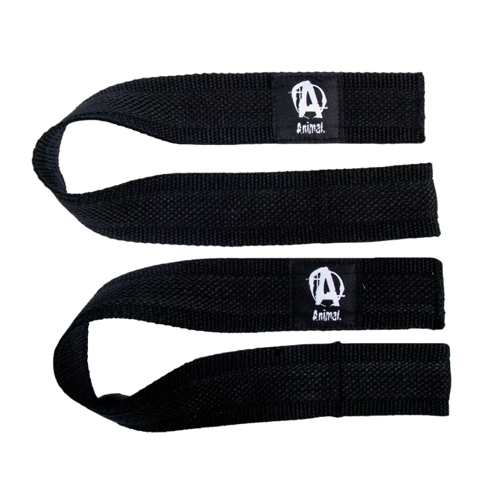 Heavy Duty Pro Lifting Straps