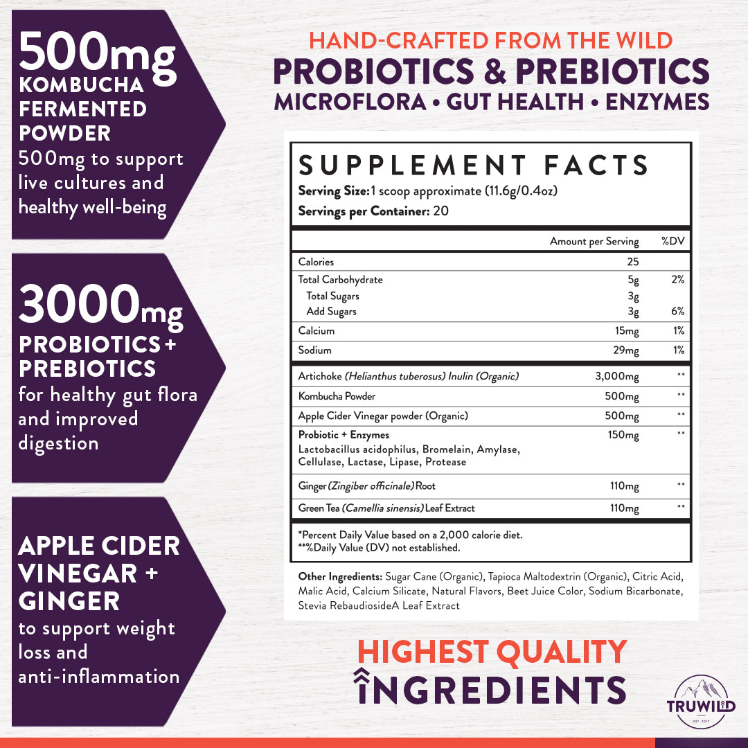 Kombucha Powder - Gut Health