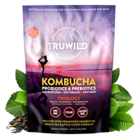 Kombucha Powder - Gut Health