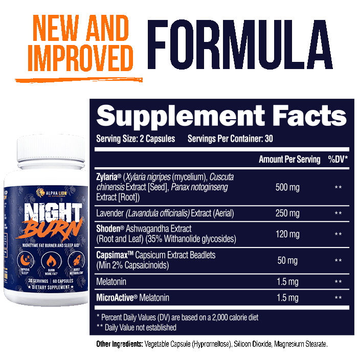 NIGHT BURN - Nighttime Fat Burner
