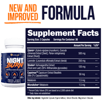 NIGHT BURN - Nighttime Fat Burner