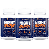 NIGHT BURN - Nighttime Fat Burner