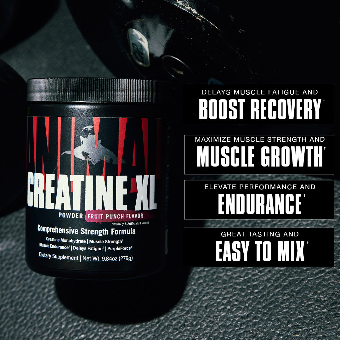 Animal Creatine XL
