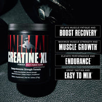 Animal Creatine XL