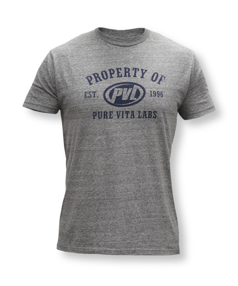 PVL Unsportsmanlike Tee