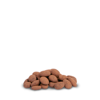 Spiced Chocolate Almonds Bulk Bags
