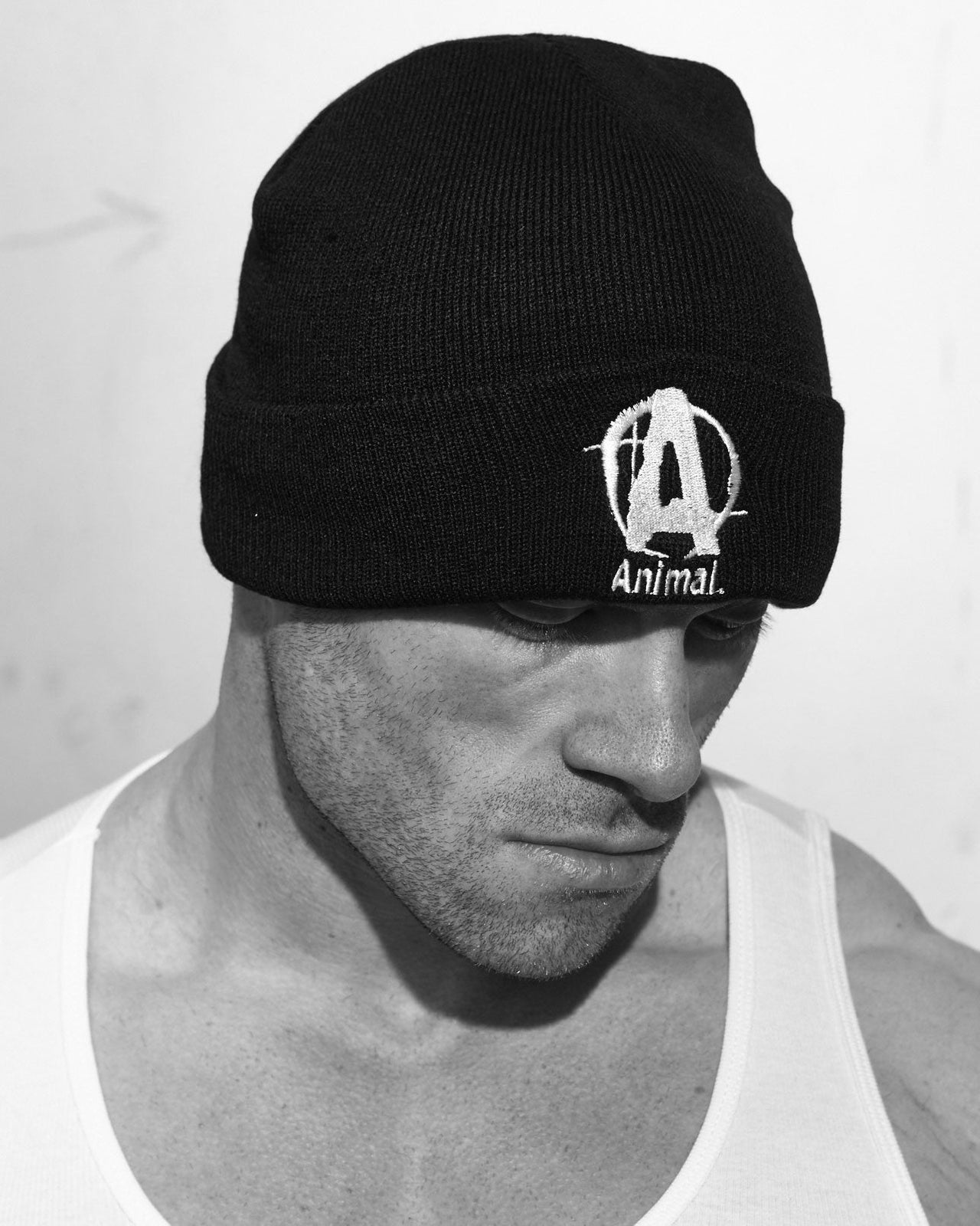 Universal Nutrition Animal Cuts 42 Paks Plus Free Animal Beanie