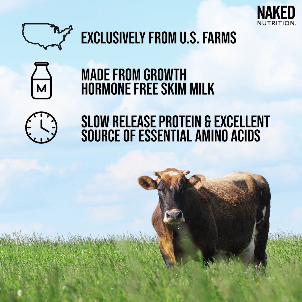 Vanilla Casein Protein Powder | Naked Vanilla Casein 5LB