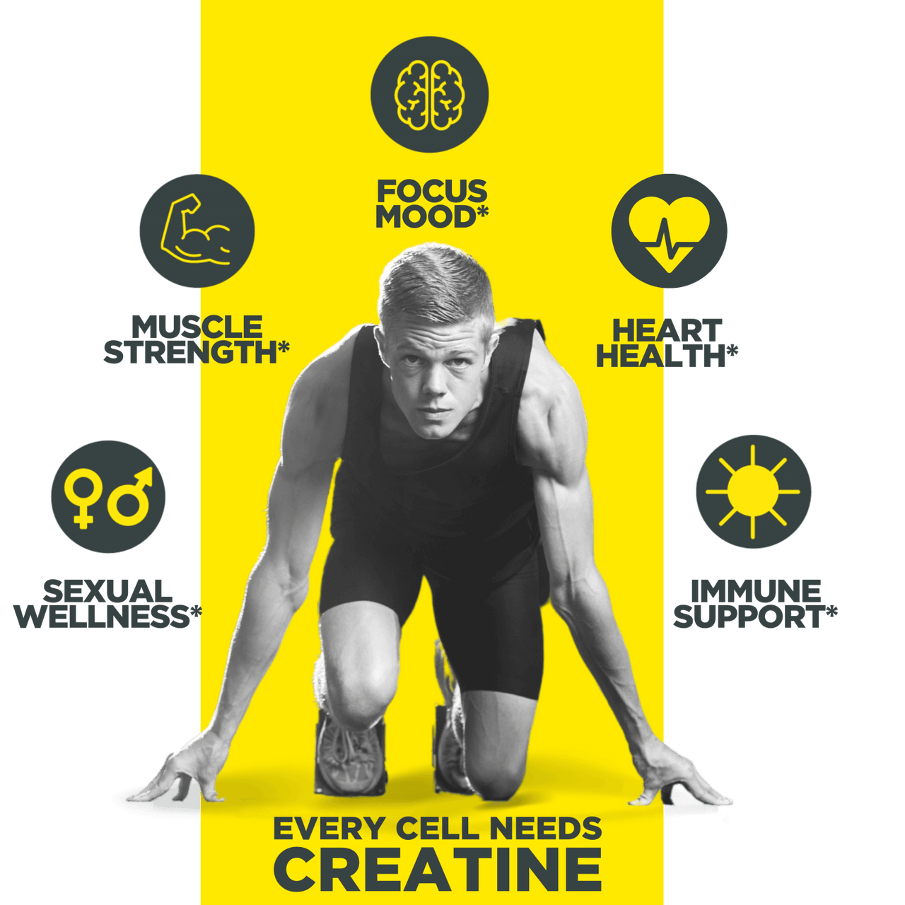 CON-CRĒT® CREATINE HCl CAPSULES