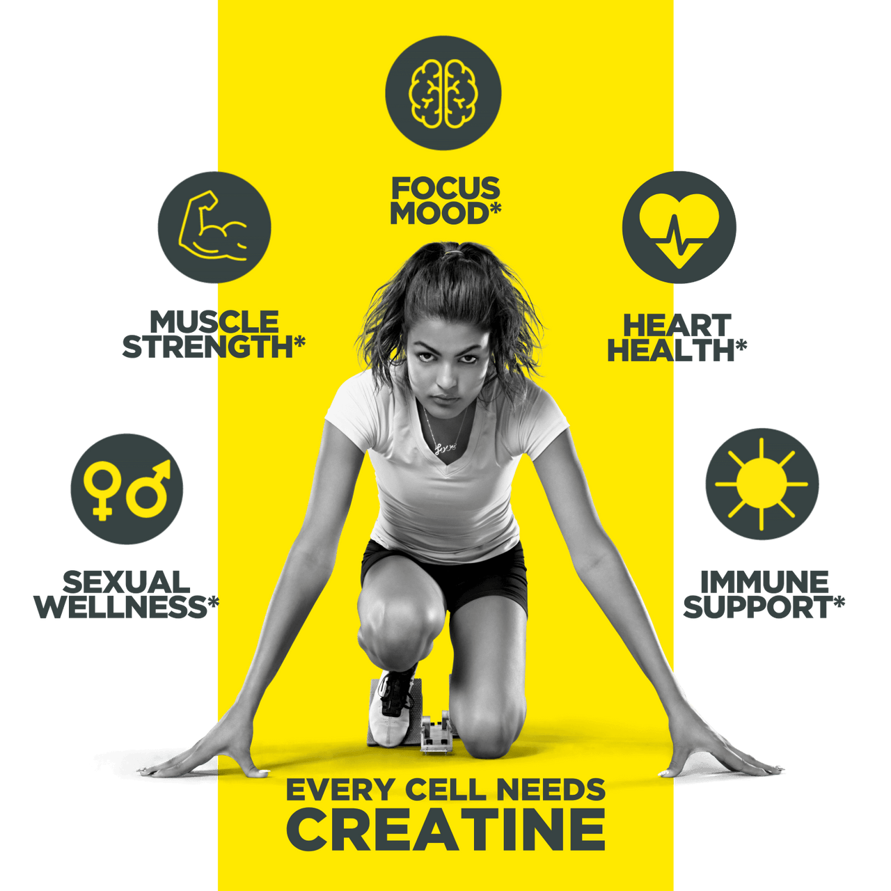 Flavored Creatine - CON-CRĒT® HCl Powder