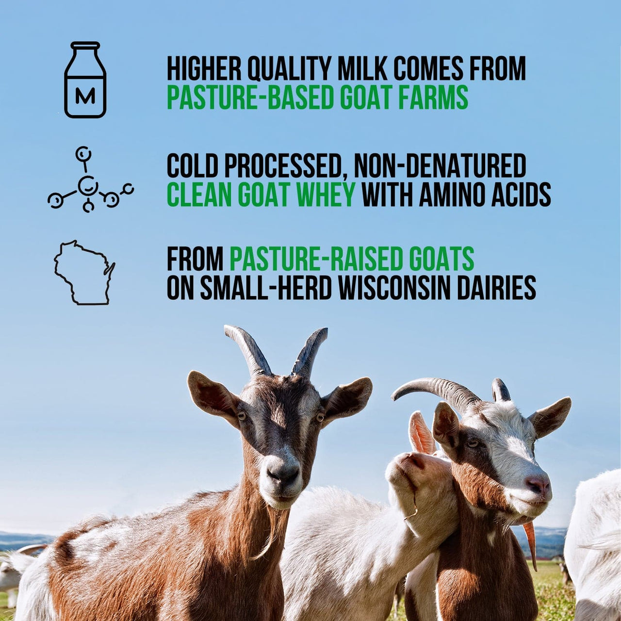 Vanilla Goat Whey Protein Powder | Naked Goat - 2lb