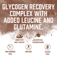 Recovery Protein Plus / Chocolate - 25 Servings
