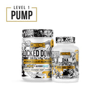 Level 1 Pump (Option 2)