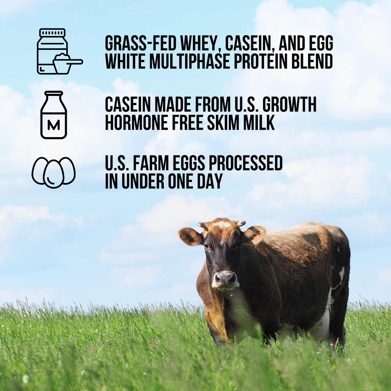 Protein Powder Blend - 1LB Egg, Whey & Casein Protein Blend | Naked Protein - 1lb